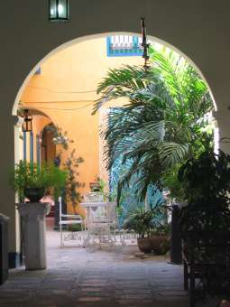 IMG_3980.JPG